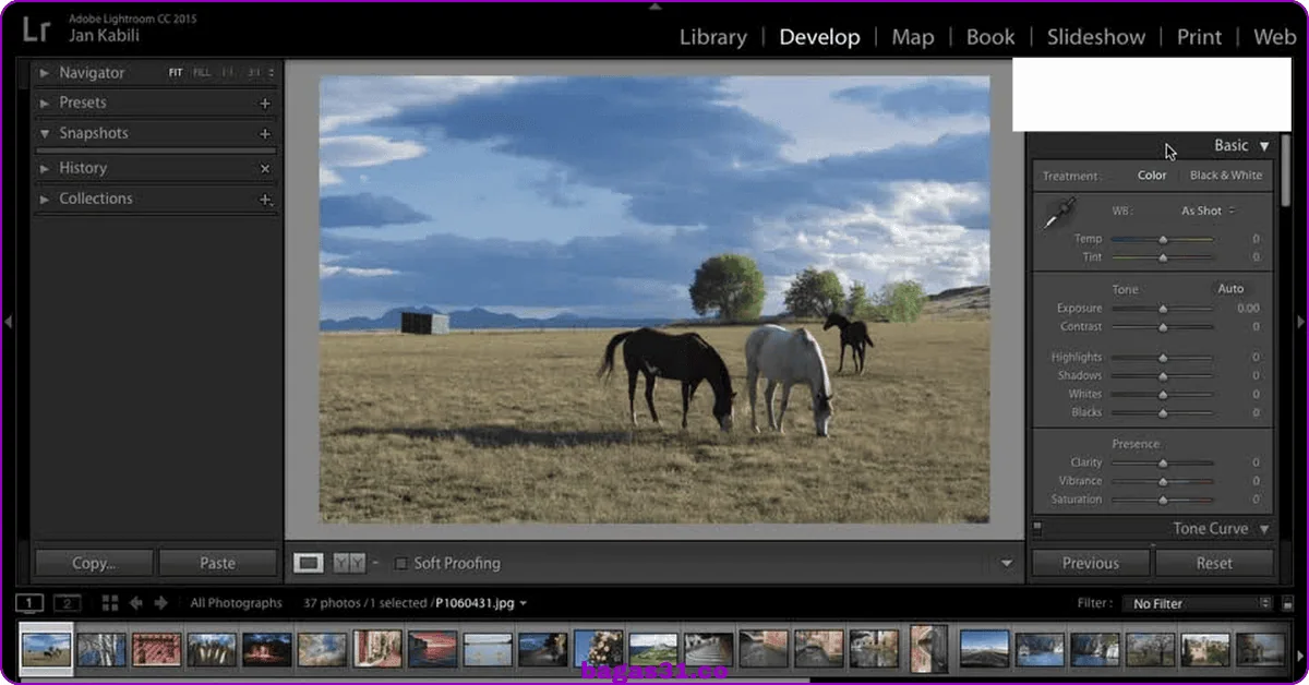 Adobe Photoshop Lightroom Bagas31