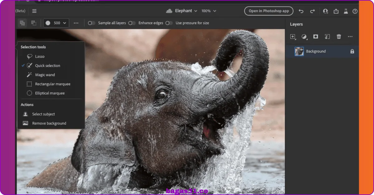 Download Adobe Photoshop Bagas31