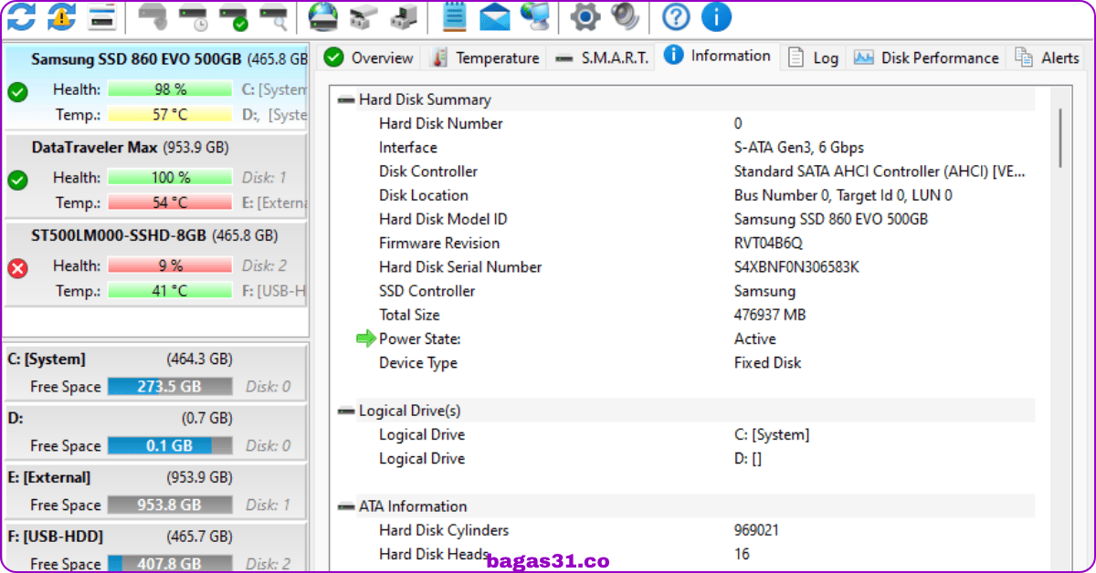 Hard Disk Sentinel Bagas31